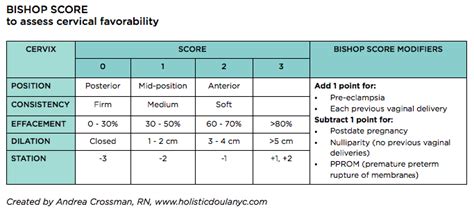 What Is A Bishop Score