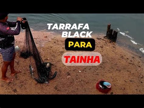 PESCARIA De TAINHA Tarrafa Pesada YouTube