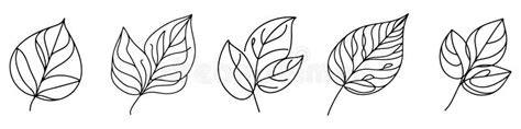 Linear Leaves Set Of Leaf Icons Stock Vector Illustration Of Icon