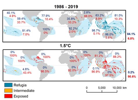 Of Coral Reefs Could Vanish If We Don T Act Fast Study World