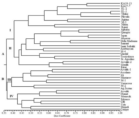 Upgma Dendrogram Based On The Genetic Relationships Among 11 Turkish