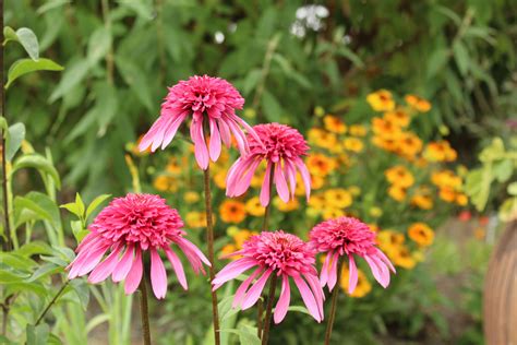 The Oregon Garden — Portland Parks Foundation