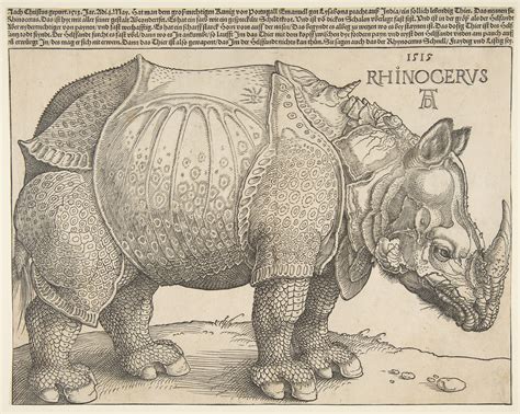 Albrecht Dürer The Rhinoceros The Metropolitan Museum of Art