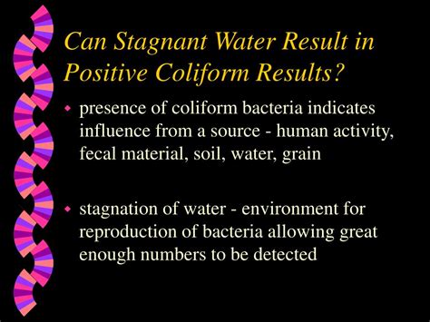 Ppt Microorganisms The Coliform Group Bacteria Powerpoint