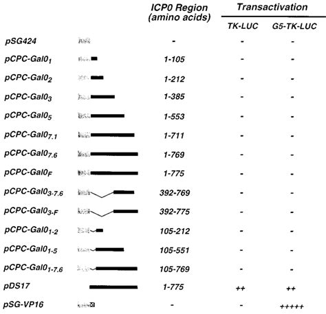 Analysis Of Transcriptional Activation By Gal4 Icp0 Fusion Proteins In Download Scientific