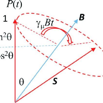 The spin rotation in a zero field. The decomposition of the muon ...