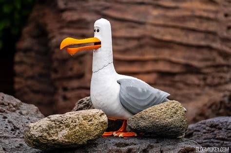 Seagulls Return to The Seas With Nemo & Friends at EPCOT