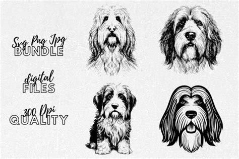 Bearded Collie Svg Dog Clipart Graphic By Younique Aartwork