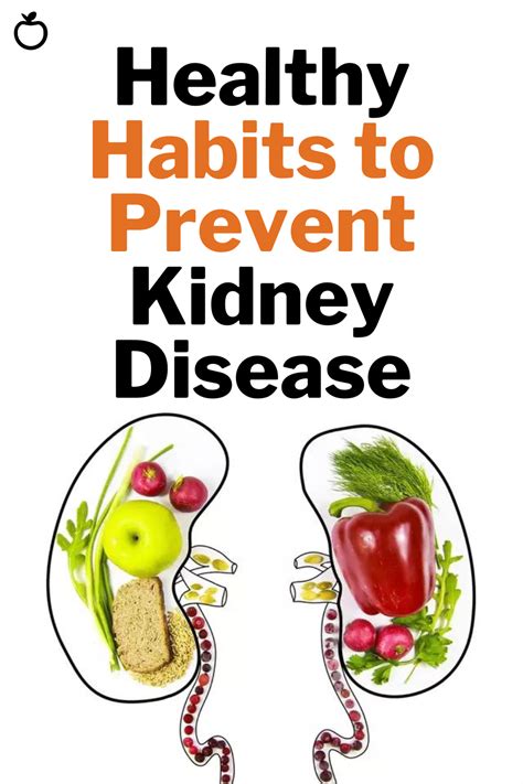 Healthy Habits To Prevent Kidney Disease In 2023 Kidney Health