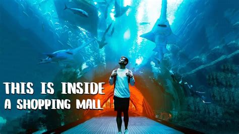 WORLD'S LARGEST MALL - Exploring Dubai with Locals - TopTravelVoyages