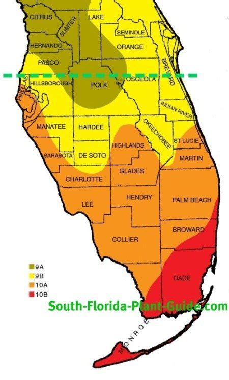 Poll On Florida Hardiness Zones Weather Climate Palmtalk