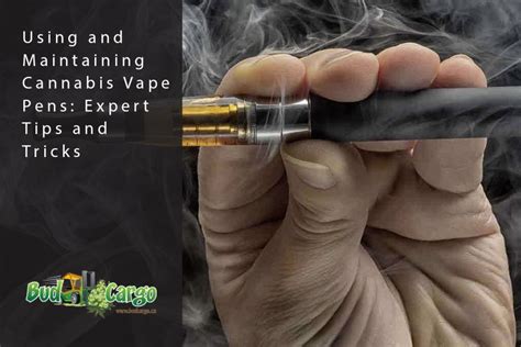 Using And Maintaining Cannabis Vape Pens Expert Tips And Tricks Bud