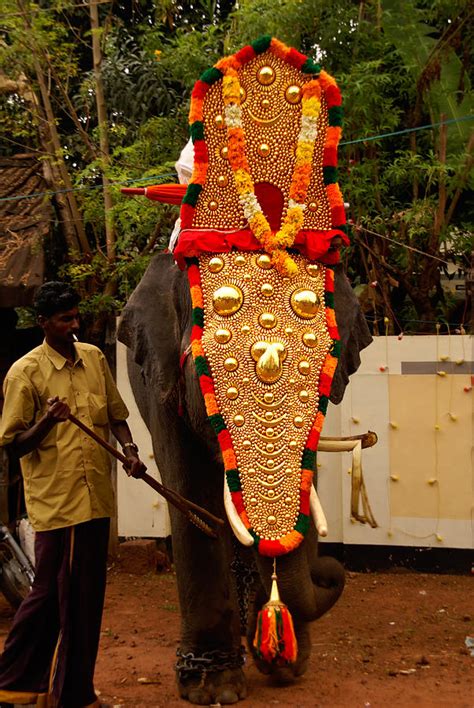 Kerala Elephant Festival Digital Art by Carol Ailles