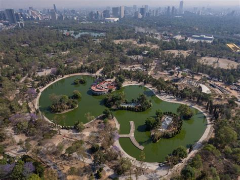 Anuncian Inauguración Del Centro De Cultura Ambiental Del Bosque De