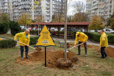 Ziua De Cluj Plantare De Copaci și în Parcul Primăverii