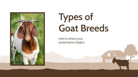 Types Of Goat