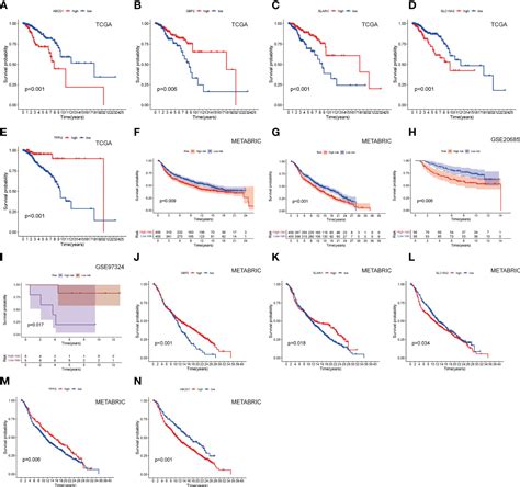 Frontiers Immune Microenvironment And Clinical Feature Analyses Based