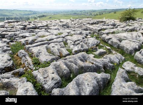 Limestone pavement Malham Cove Yorkshire Dales Stock Photo - Alamy