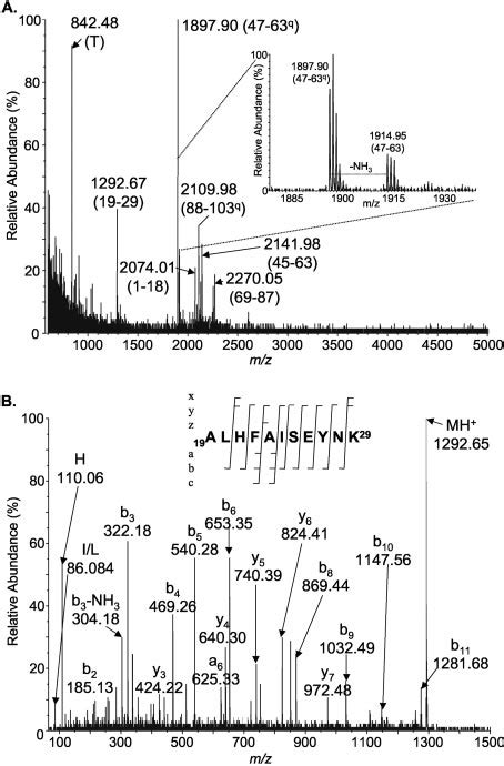 Ms Analysis Of Tryptic Peptides From Spot S4 Panel A Maldi Qotof Mass Download Scientific