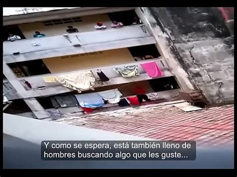 El Dynasty en de mayo Ciudad de Panamá XVIDEOS