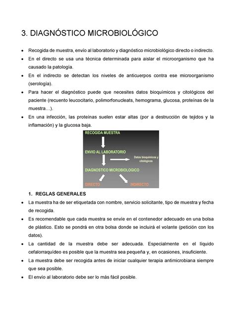 Diagnostico Microbiologico Diagn Stico Microbiol Gico Recogida