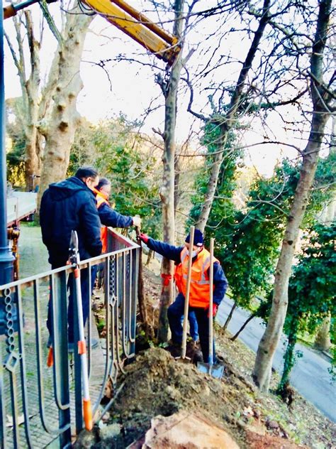 Cosenza Piantati Nuovi Alberi Nella Villa Vecchia Gazzetta Del Sud