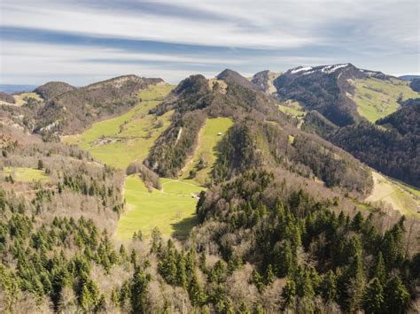 Résultats du 4ème inventaire forestier national IFN4 2020