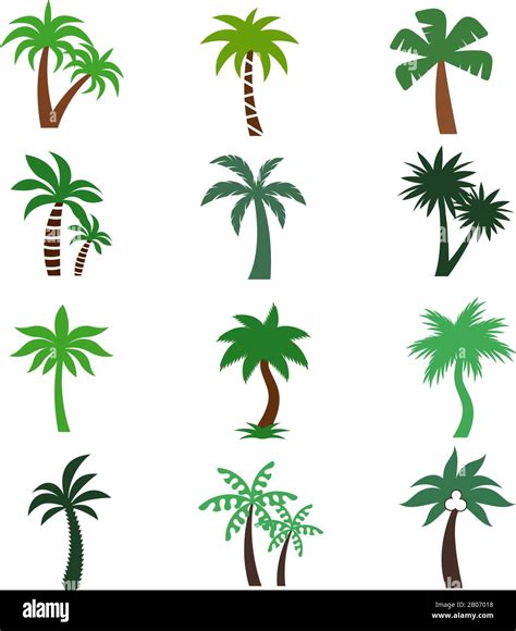 Color Palm Trees Vector Silhouettes Set Of Tropical Green Plants