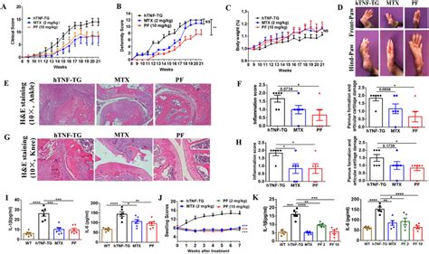 Penfluridol Prevents The Onset And Severity Of Arthritis In Htnf Tg