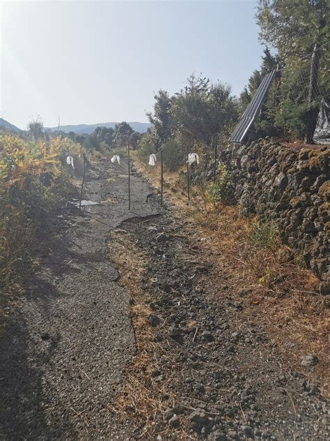 Ennesimo Segnale Di Intimidazione Agli Imprenditori Agricoli Di