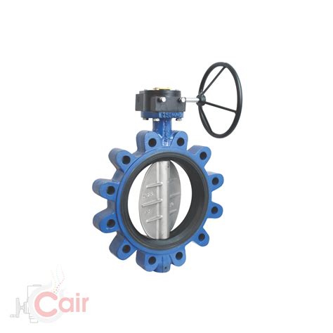 Rubber Lined Butterfly Valve Manufacturer In Ahmedabad India