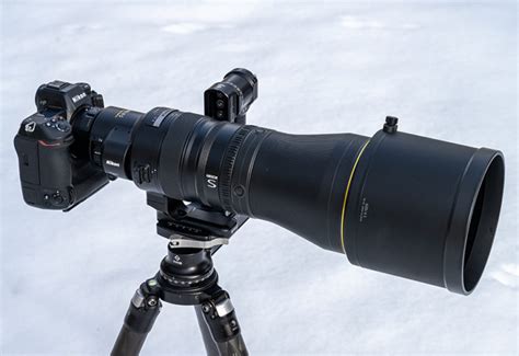 Nikon 600mm F4 Z With 1 4x Review Tom Bol Photography LLC