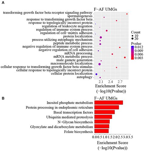 Frontiers Profiling Of Rna N6 Methyladenosine Methylation Reveals The