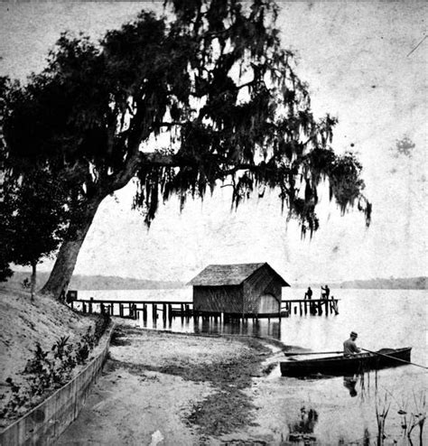 Florida Memory • Beautiful Scenery On The Saint Johns River