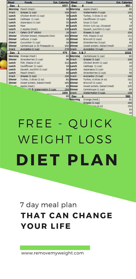 Fast 800 Diet Plan