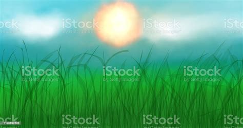 Landscape Painting Of Countryside Has Tall Green Grass Field Stock Illustration Download Image