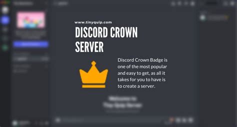 List Of Discord Badges And How To Get Them Tiny Quip