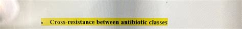 Solved Cross-resistance between antibiotic | Chegg.com