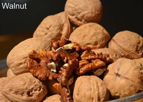 Kashmiri Shell Walnuts Packaging Type Plastic Box At Rs 450 Kg In Noida