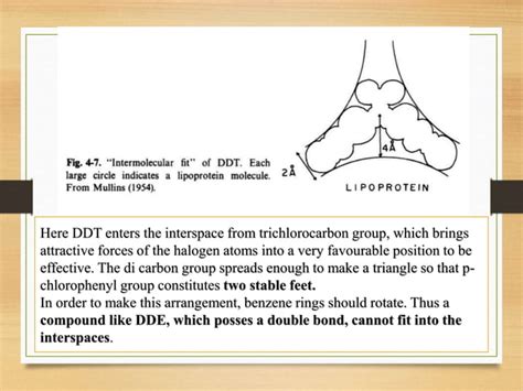 History of DDT & Theories of DDT mode of action