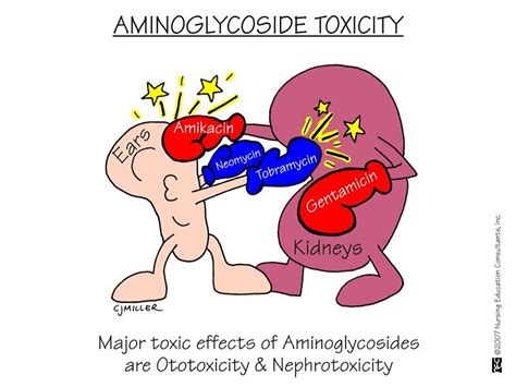 Aminoglycoside Pharmacology Nursing Nurse Nursing Mnemonics