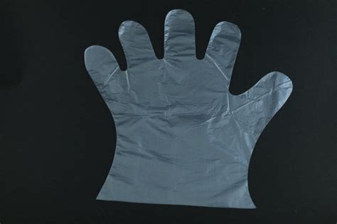 Disposable Plastic Gloves Transparent Plastic Gloves Latest Price