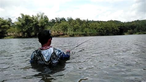 Mancing Dadakan Umpan Lumutku Di Serang Ikan Nila Kecil Youtube