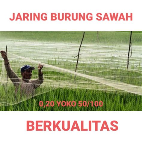 Jual Jaring Burung Jaring Padi Jaring Emprit Jaring Sawah Kota