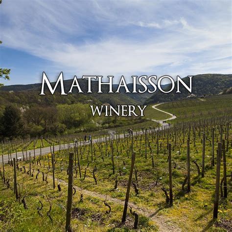 Matthiasson Winery World Famous Napa Valley 1 Wine Region