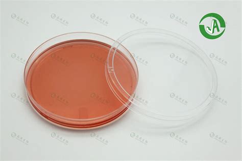上海晶安i型胶原蛋白包被60mm细胞培养皿报价价格性能参数图 上海晶安生物器材网