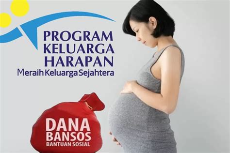 Penuhi Nutrisi Ibu Hamil Pemerintah Turunkan Bansos Senilai Rp Juta