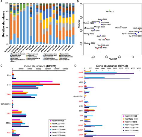 Frontiers Metagenomics Reveals Microbial Diversity And Metabolic