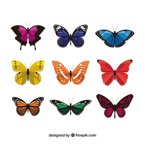 Free Vector | Collection of elegant colored butterflies