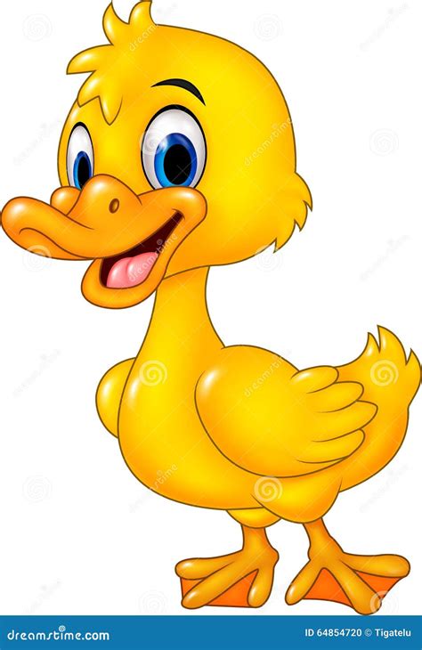 Cartoon Funny Baby Duck Posing Isolated On White Background Stock